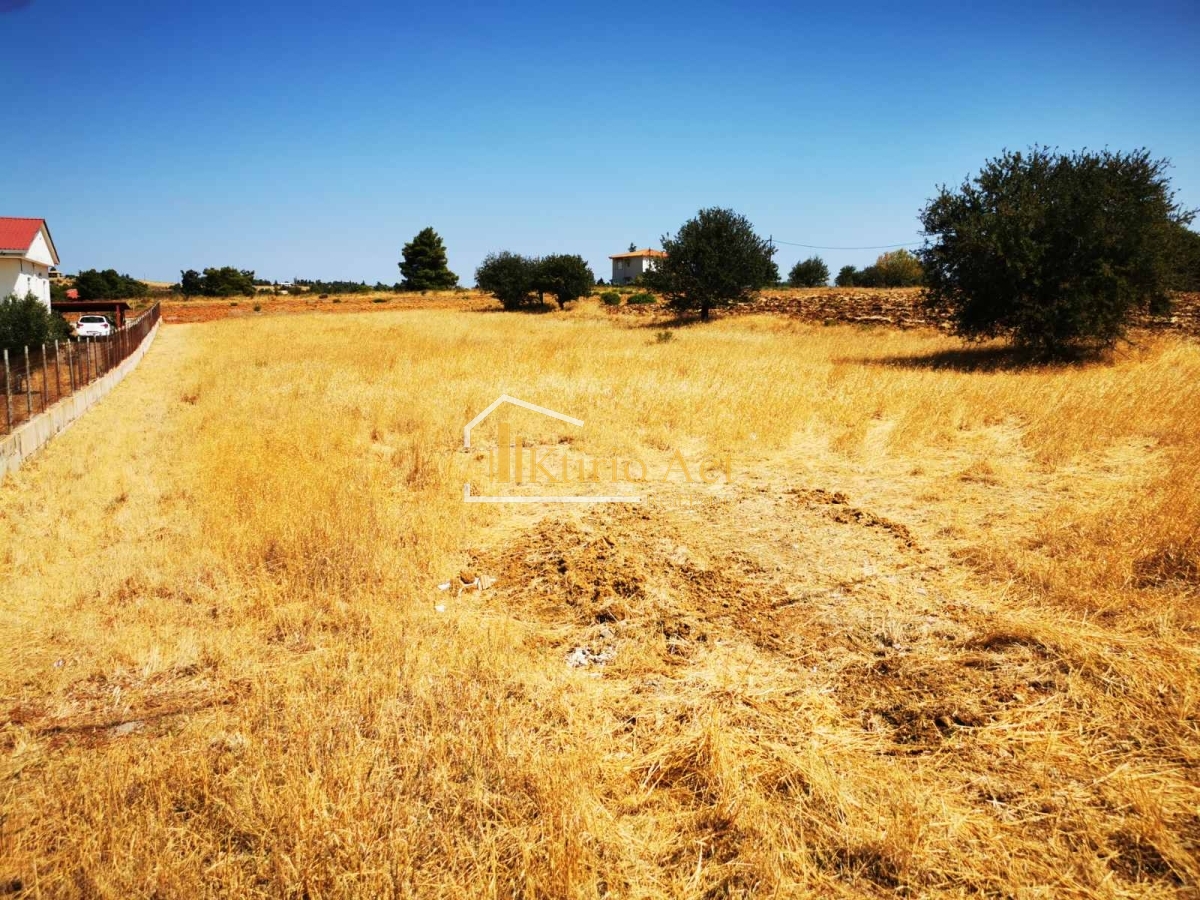 property-img