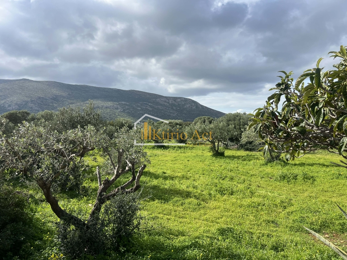 property-img